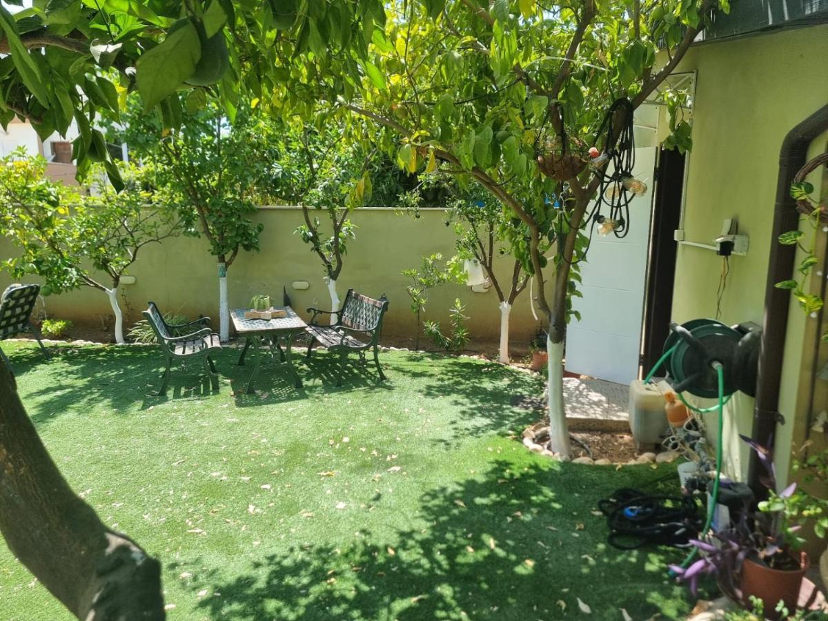 B&B Amit 18 Minutes From The Airport - אירוח כפרי עמית 18 דקות משדה תעופה Petach Tikva Buitenkant foto